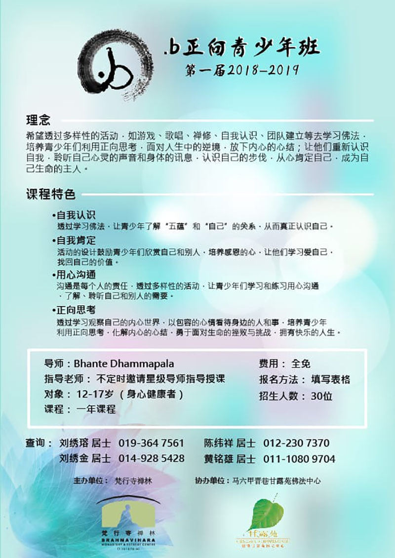 DotB 800