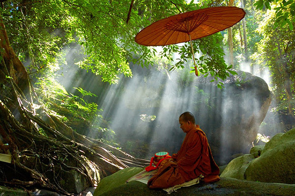 metta600